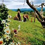 度假居 Vineyard Podrzaj 奥托塞克