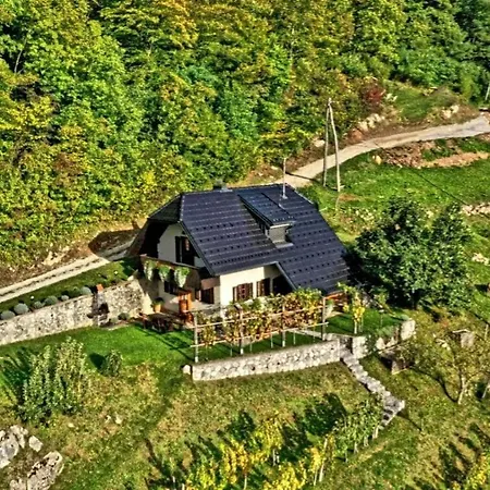 Vineyard Podrzaj Počitniška hiša Otocec