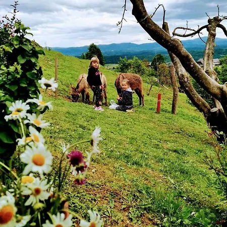 Počitniška hiša Vineyard Podrzaj Otocec
