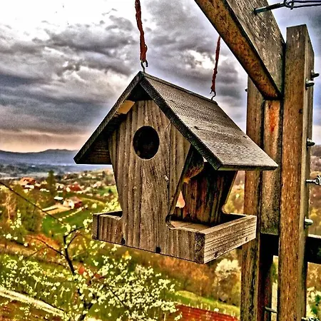 Vineyard Podrzaj