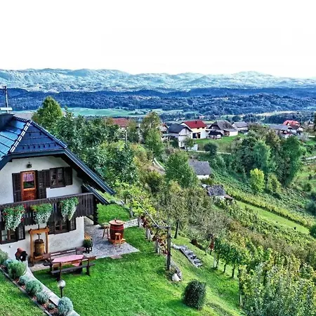 Vineyard Podrzaj Otočec