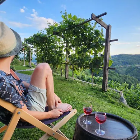 Holiday home Vineyard Podrzaj *