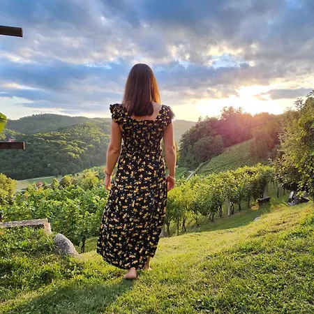 Holiday home Vineyard Podrzaj Otocec