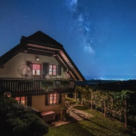 Vineyard Podrzaj Holiday home *