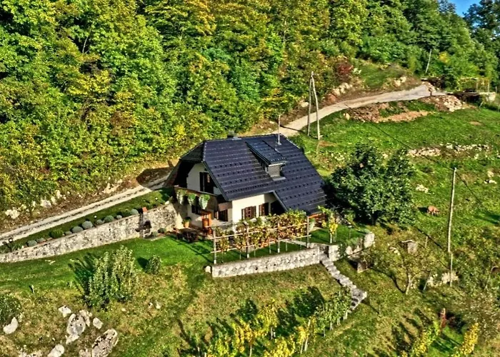 Vineyard Podrzaj 別荘 Otočec