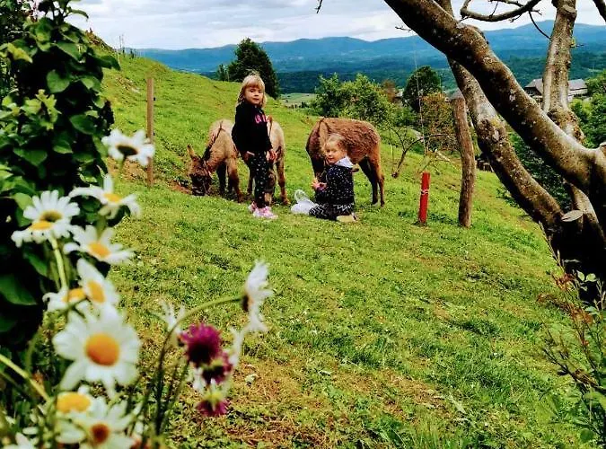 Prázdninový dům Vineyard Podrzaj Otočec