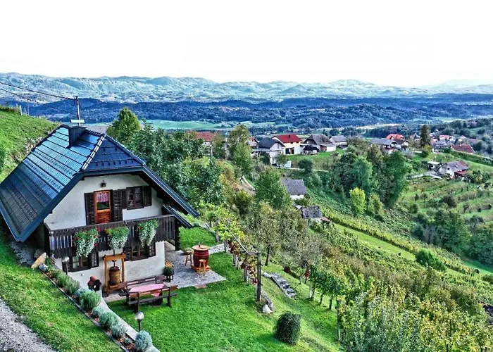 Vineyard Podrzaj Otočec