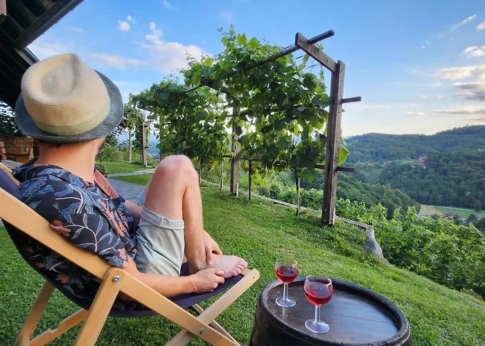 Hébergement de vacances Vineyard Podrzaj *